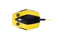 CHASING DORY Underwater Drone - Palm-Sized 1080 FHD ROV