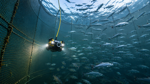 Underwater Drones for Aquaculture: How ROVs Are Changing Fish Farm Inspection in 2026